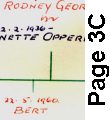 Rayner family tree done by Frank Watson Rayner - page 1A of 15